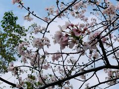 -西北湖绿化广场