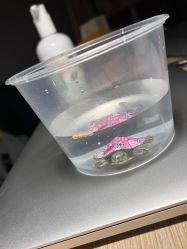 -哒卟溜欢乐王国(禹州城市广场店)