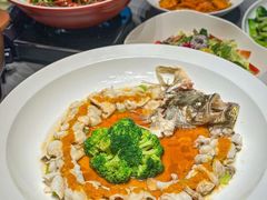 -洞庭家宴·头牌甲鱼(广渠门店)