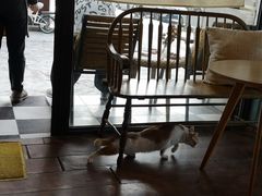 -251#coffee roasters(沿河东路店)