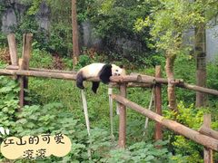 -南京博物院