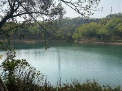 -大雁山风景区