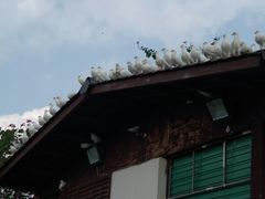 -飞来湖湿地公园