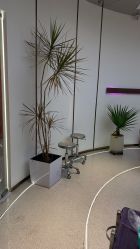 -In Style Hair Salon