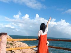 -广东惠东海龟国家级自然保护区