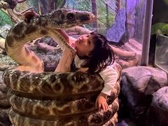 -正佳雨林生态植物园