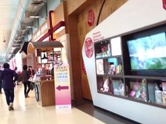 -升恒昌免税商店(台北松山机场店)