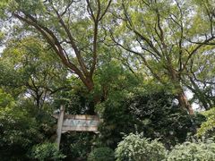 -忠山公园