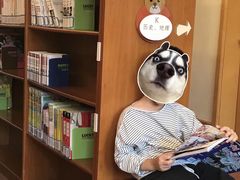 -静安区少年儿童图书馆(康定东路)