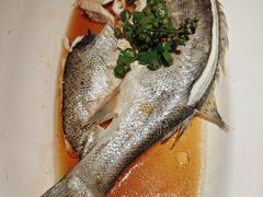 -绿茶餐厅(财富购物中心店)