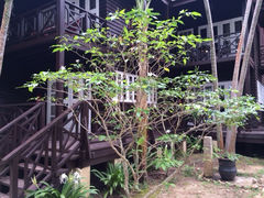 iphone_upload_pic-马奴干岛