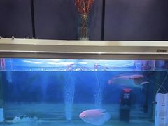 -梵SPA·影院足道·采耳(西藏北路店)