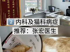 -派美特宠物医院·核磁CT·骨科肿瘤·疑难转诊(沈农禾丰店)