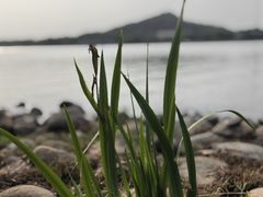 -上海月湖雕塑公园