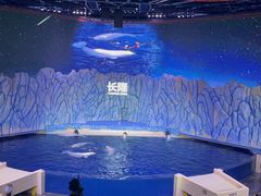 -珠海长隆海洋王国