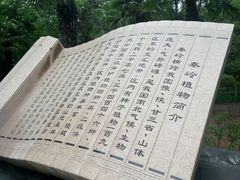 -宝鸡植物园