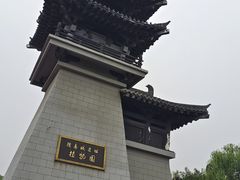 -洛阳市隋唐城遗址植物园