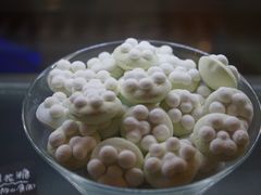 -猫咪博物馆(顶澳仔猫街店)