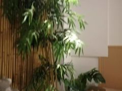 -锦初·禅意4K影院式足道·新中式SPA(茂业天地店)