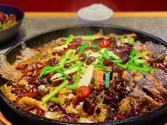 -老板恋上鱼(恒隆广场店)