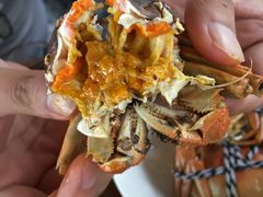 -喜洋洋蟹庄(阳澄湖店)