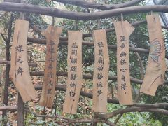 -天目湖山水园