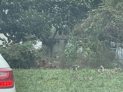 -中国航油花果岛加油站