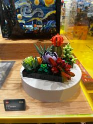 -乐高授权专卖店(朝阳大悦城店)