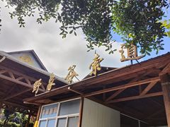 -野象谷景区