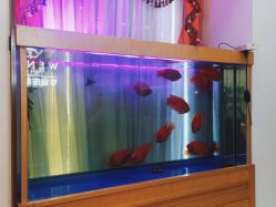 -WENDY·温迪皮肤管理