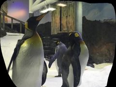 -悉尼海洋生物水族馆