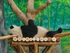 -灵玲国际马戏城