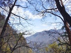 -西安祥峪森林公园