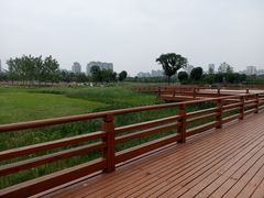 -汉长安城未央宫国家考古遗址公园