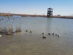 -盐城丹顶鹤湿地生态旅游区
