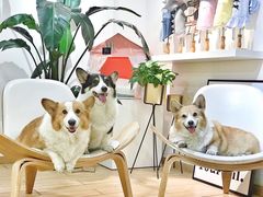 -Double Rui宠物酒店