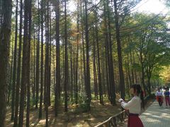 -龙道沟景区