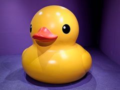 -上海宝龙美术馆