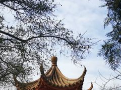 -甘井子公园