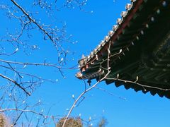 -红螺寺