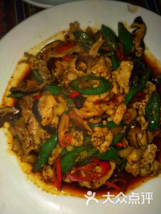 zook左左客云南风味鬼火绿图片 - 第2张