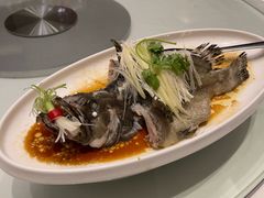 -千灯盛汇·头牌粤菜(致越优城店)