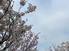 -观澜湖生态运动公社