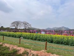-盈香心动乐园