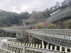 -福道