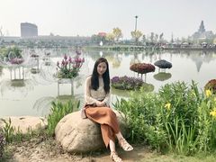 -荷兰花海