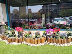 -米兰西点(新华路店)