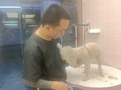 -FAELING PETS美天灵宠物(富力广场店)