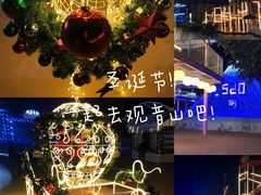 -巨鹏飞梦幻海岸
