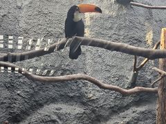 -武汉动物园